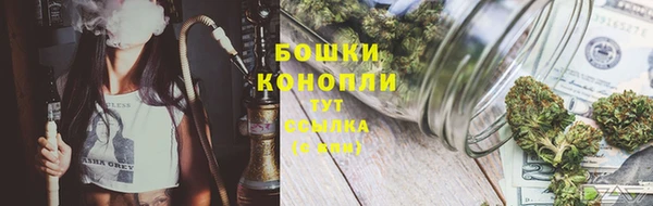 ECSTASY Кинешма