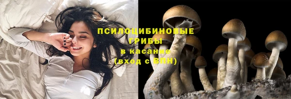 ECSTASY Кинешма