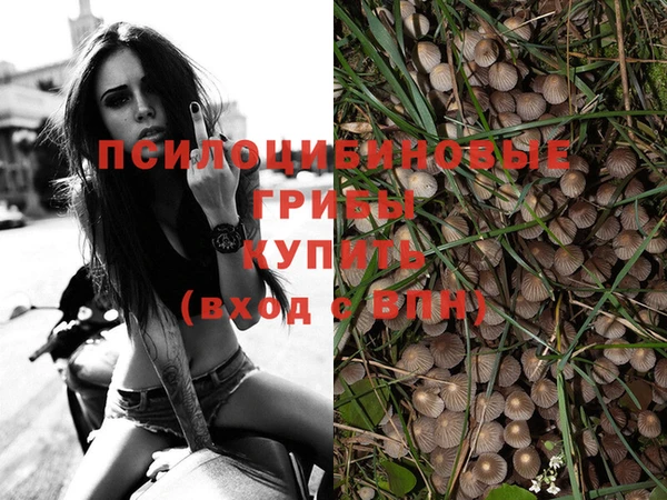 крисы Киреевск