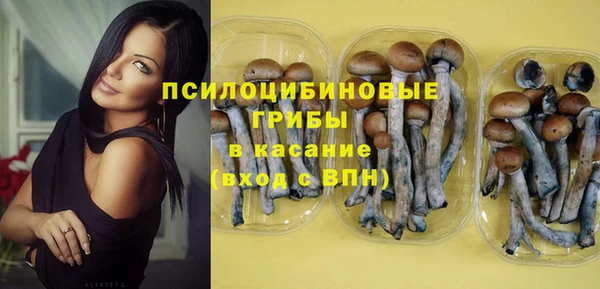 ECSTASY Кинешма
