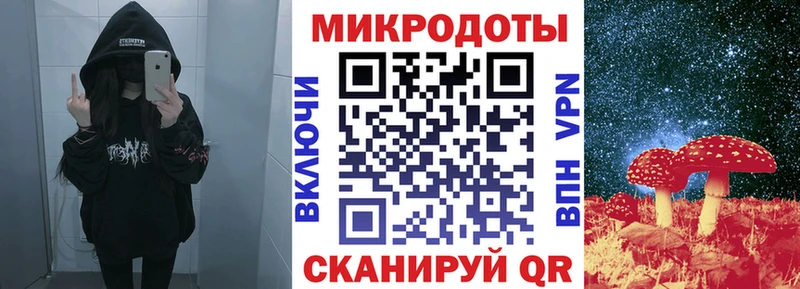 Галлюциногенные грибы Psilocybe  Купить закладки  Буинск 